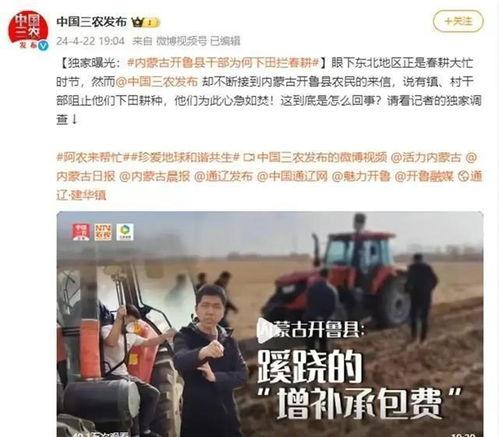 最新无皮村爆料新闻视频,揭秘神秘村庄的惊人真相 第3张 最新无皮村爆料新闻视频,揭秘神秘村庄的惊人真相 第3张