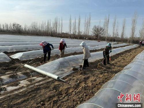 甜瓜爆料炮台视频大全,揭秘热门游戏幕后精彩瞬间 第3张 甜瓜爆料炮台视频大全,揭秘热门游戏幕后精彩瞬间 第3张